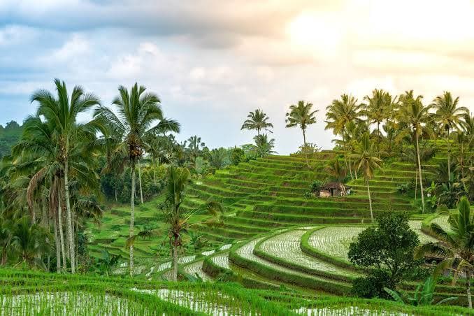 Ubud